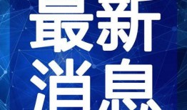重庆小学生爆料视频最新,揭秘校园生活背后真相